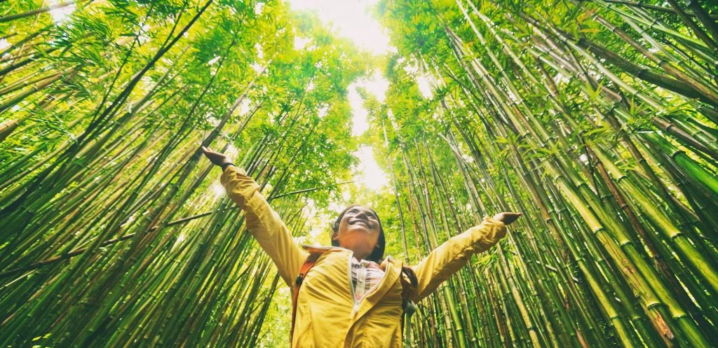 A millennial or gen Z woman looks skyward in a bamboo forest